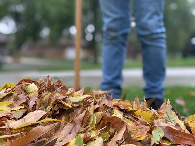 Preventing Injuries While Raking